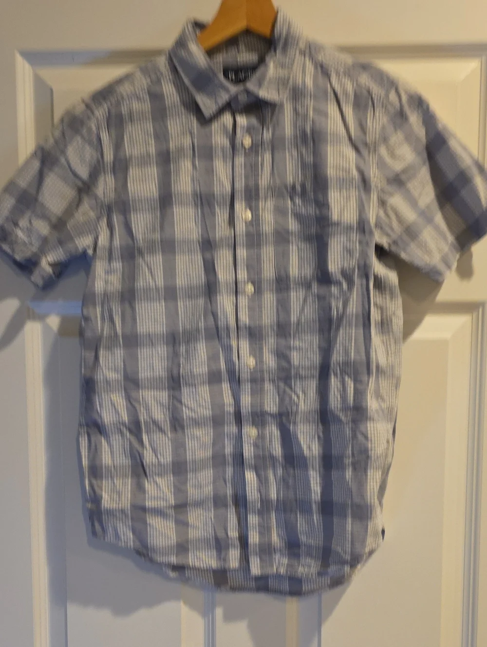 The Children's Place Blue and White Plaid Short-Sleeve Button-Down Shirt